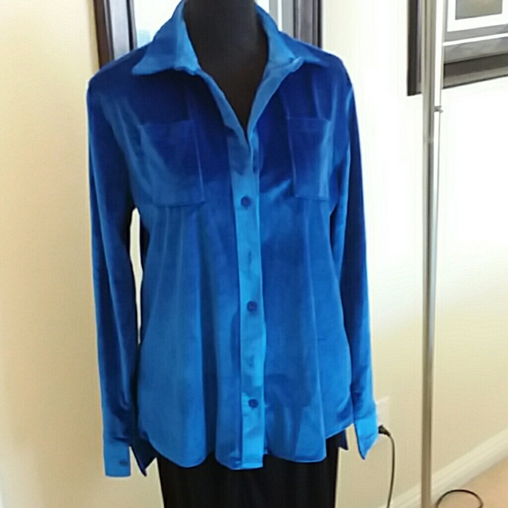 Blue velvet Long Sleeve Blouse